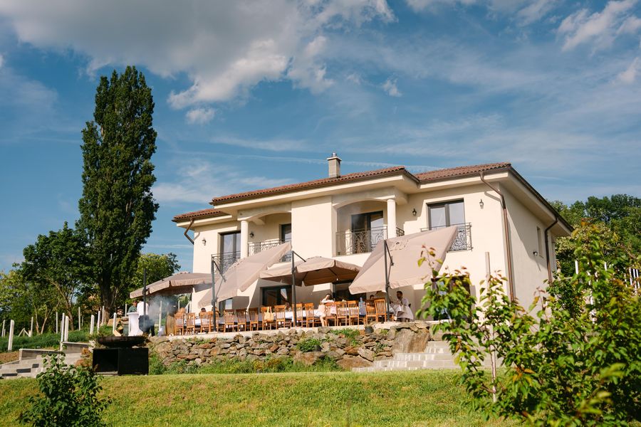 Verdele grădinii — Villa Gouster